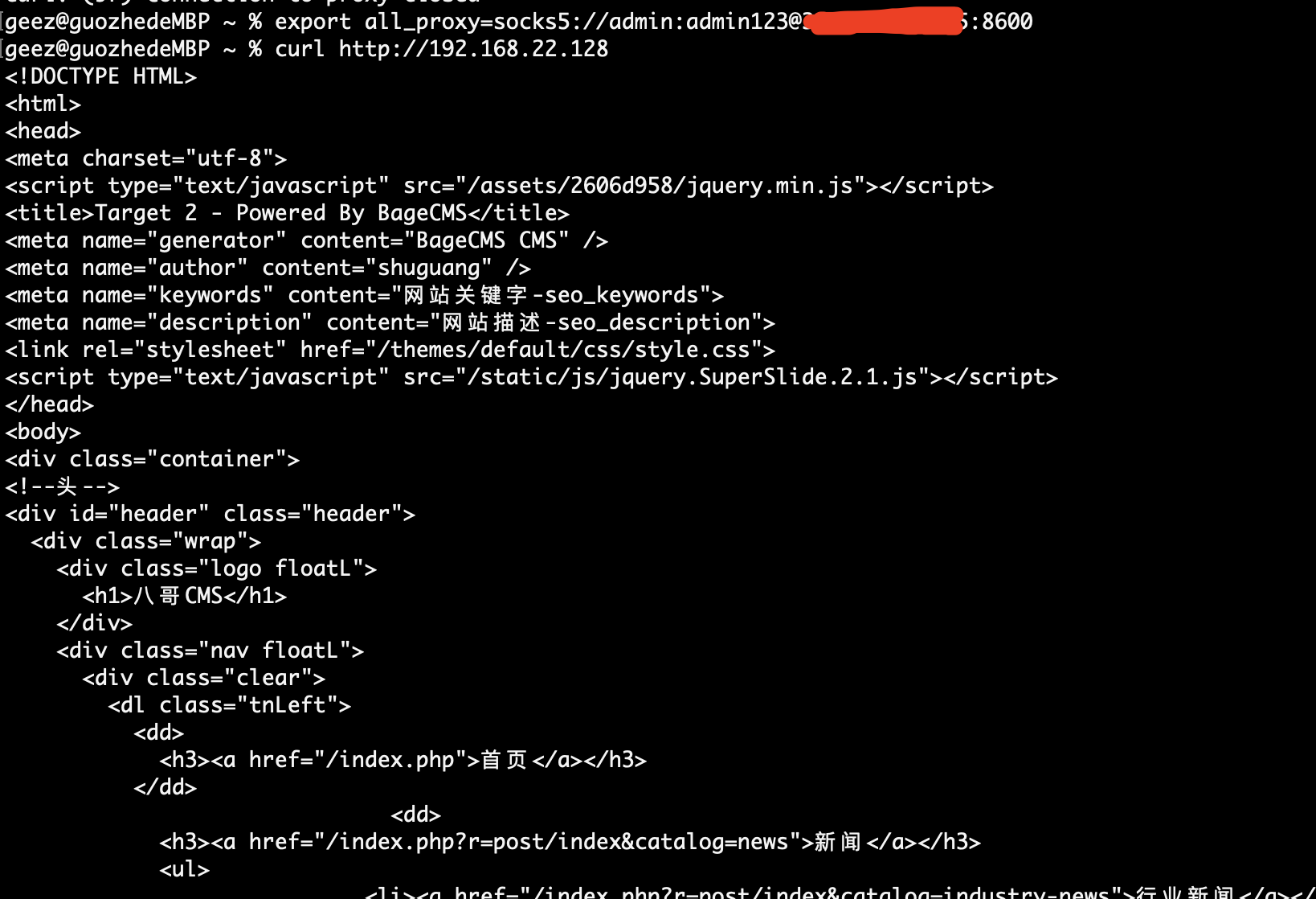 image-20221005204655512